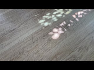 kimmykim dredd - full romp