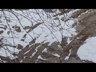 video by overheard noginsk