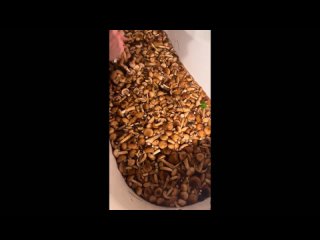 video by overheard belozersk