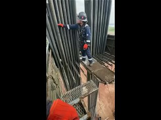 in this work you should not count crows at all