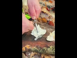 this woman will survive any conditions.